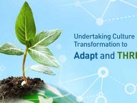 Undertaking Culture Transformation to Adapt and Thrive